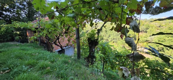 Terreno para Venda em Louredo