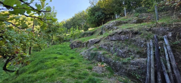 Terreno para Venda em Louredo