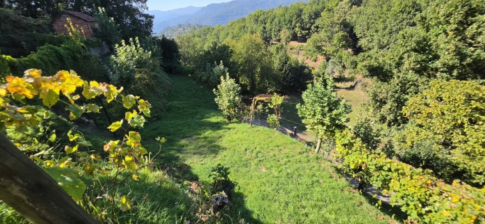 Terreno para Venda em Louredo Foto 24