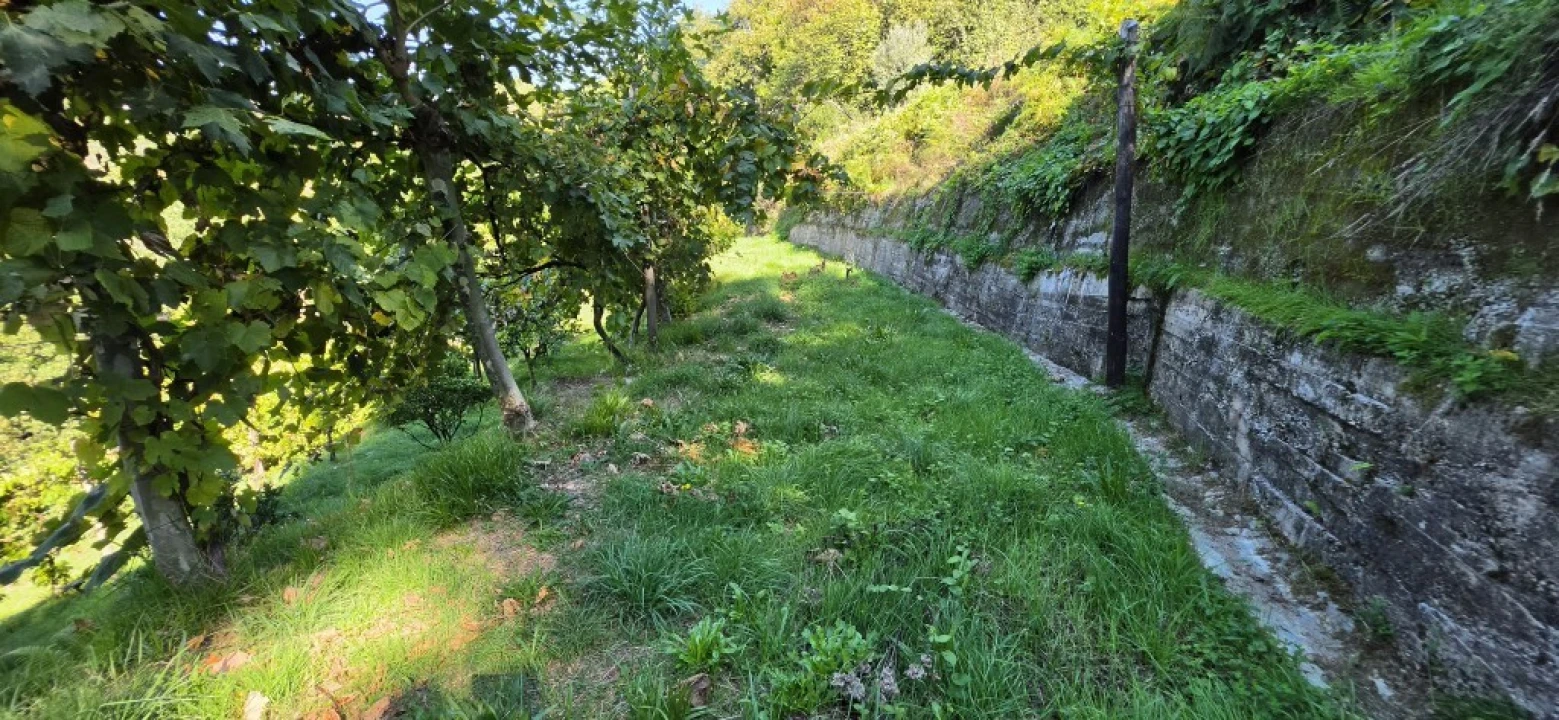 Terreno para Venda em Louredo Foto 35