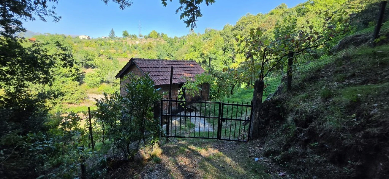 Terreno para Venda em Louredo Foto 1