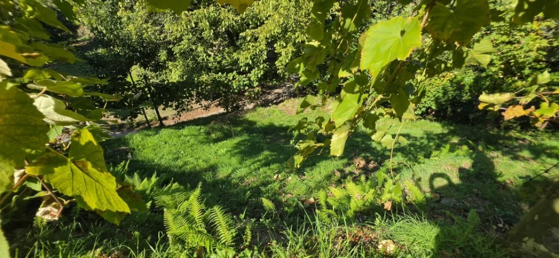 Terreno para Venda em Louredo Foto 15