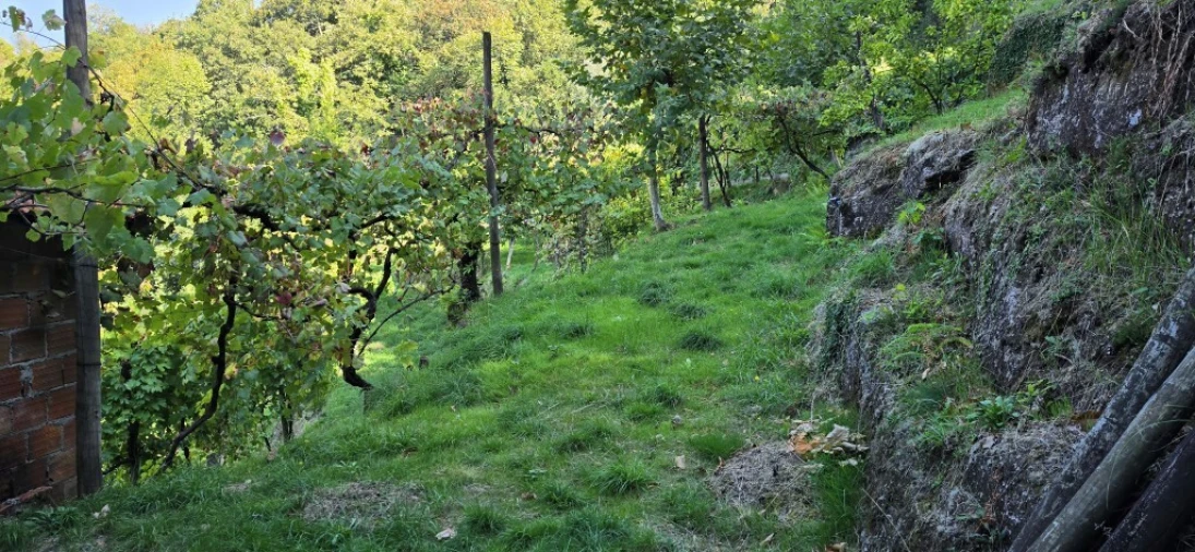 Terreno para Venda em Louredo Foto 46