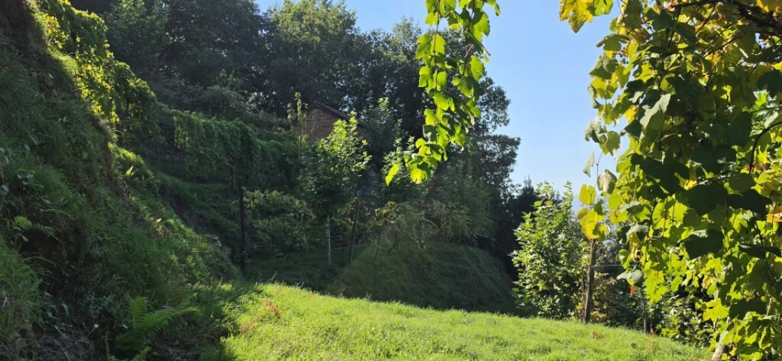 Terreno para Venda em Louredo Foto 11