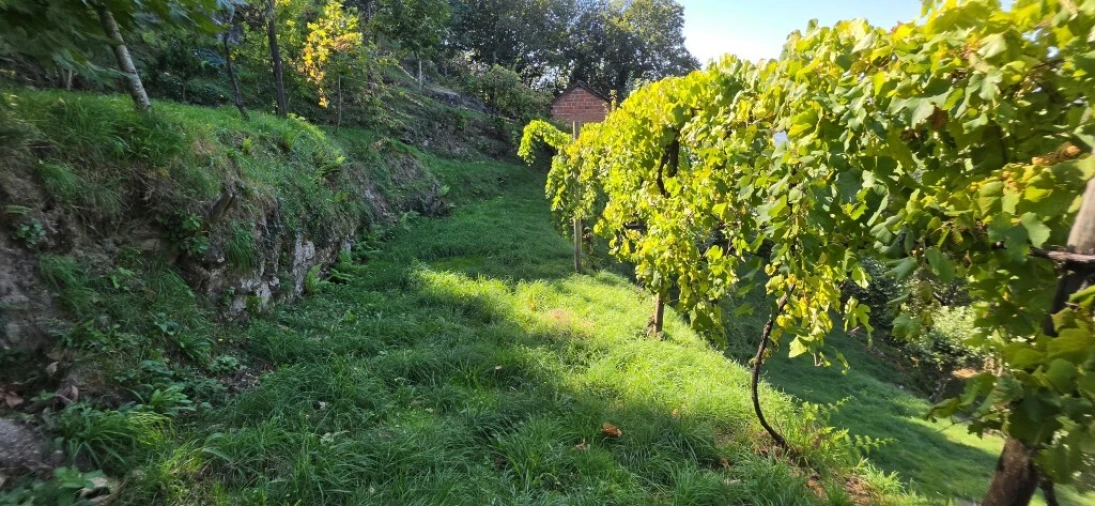 Terreno para Venda em Louredo Foto 22