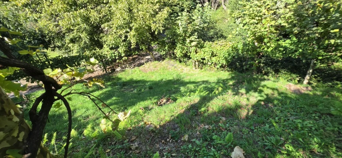 Terreno para Venda em Louredo Foto 16