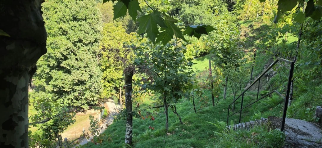 Terreno para Venda em Louredo Foto 14
