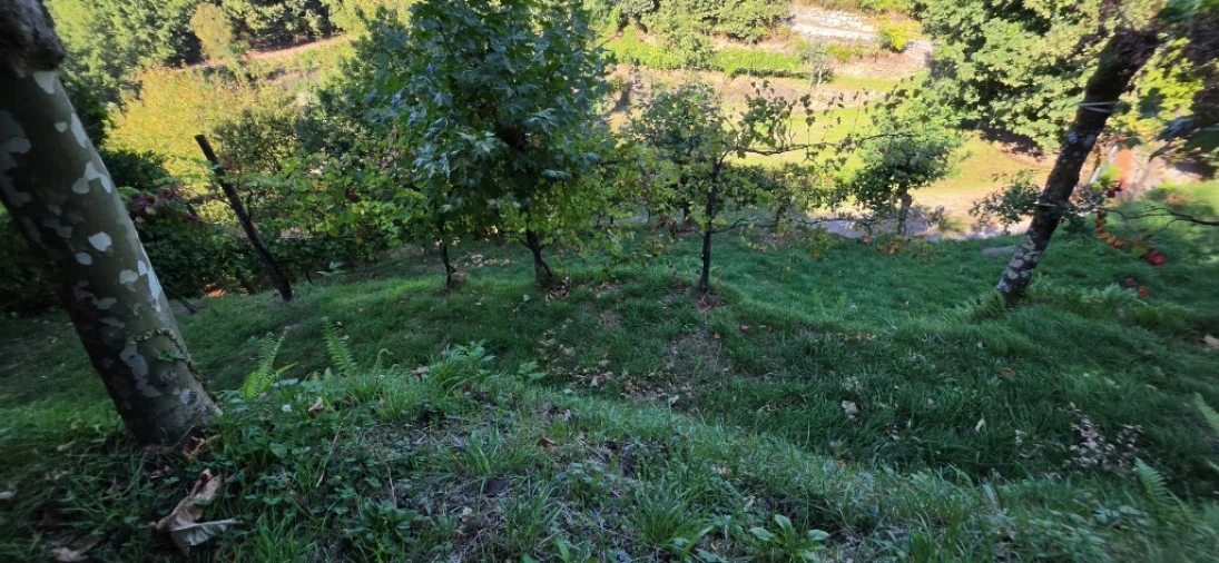 Terreno para Venda em Louredo Foto 19