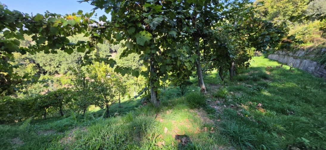 Terreno para Venda em Louredo Foto 34