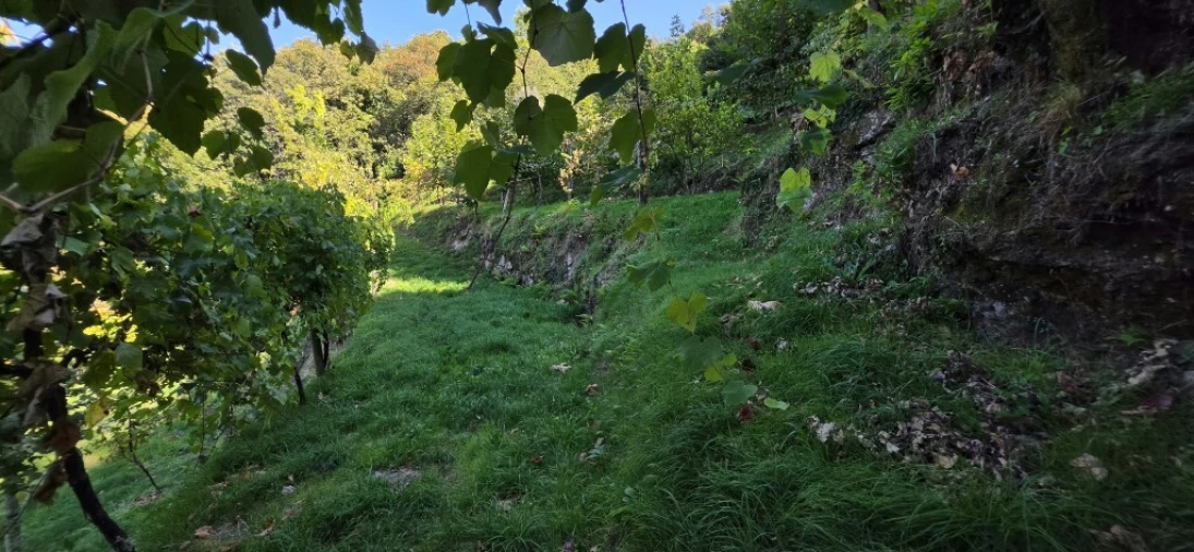 Terreno para Venda em Louredo Foto 20
