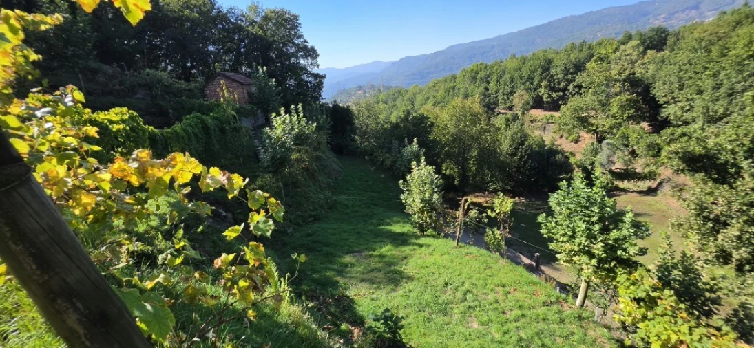 Terreno para Venda em Louredo Foto 23