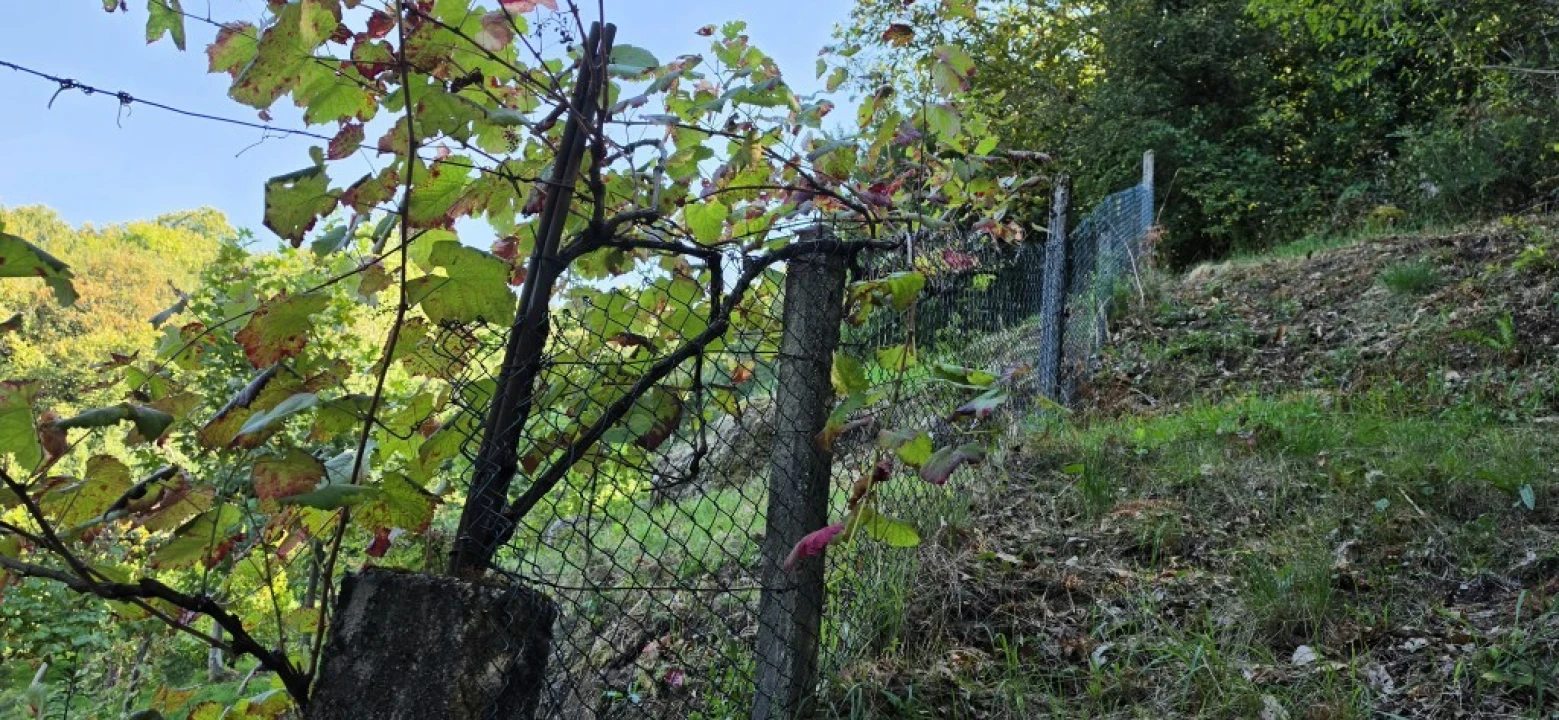 Terreno para Venda em Louredo Foto 47