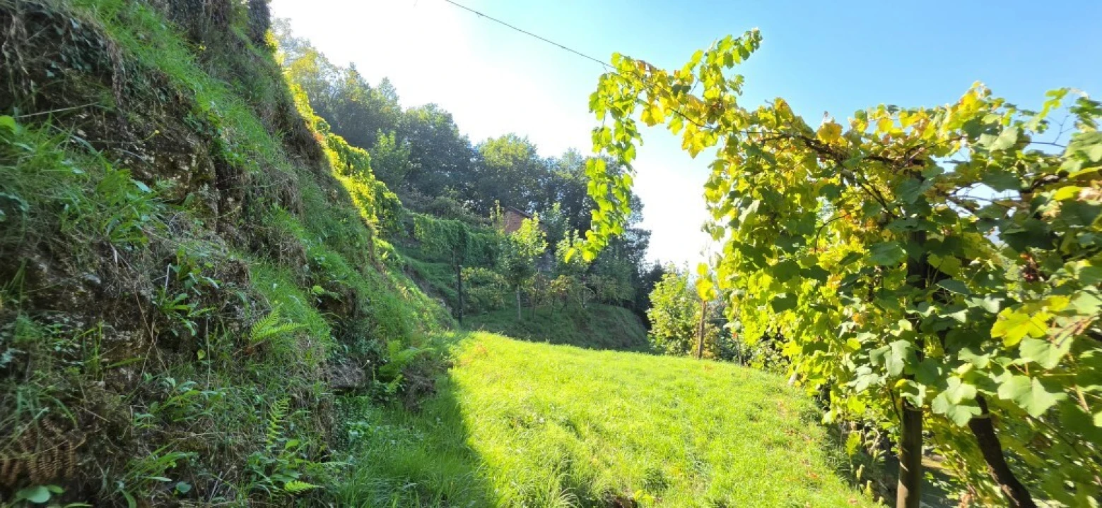 Terreno para Venda em Louredo Foto 12