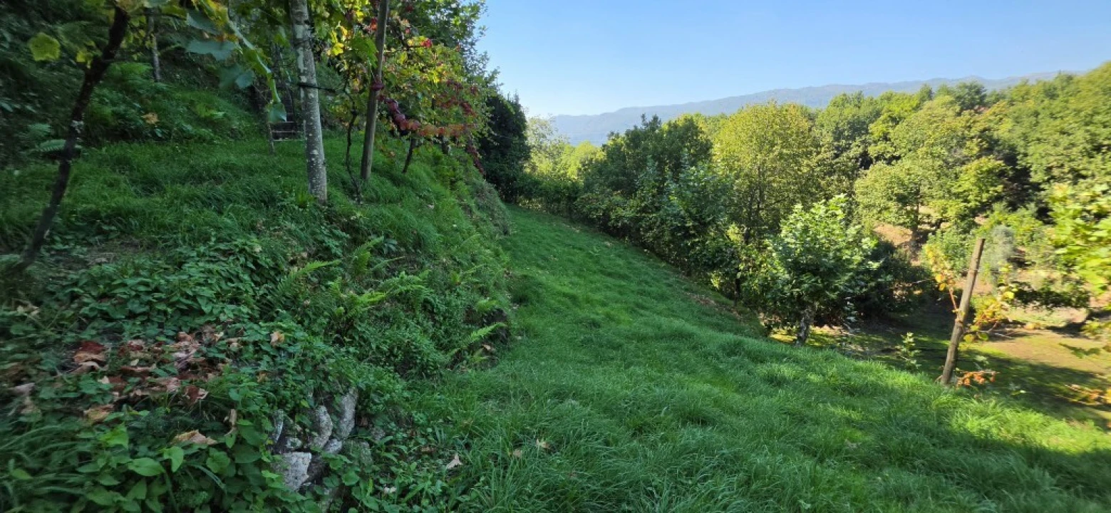 Terreno para Venda em Louredo Foto 9
