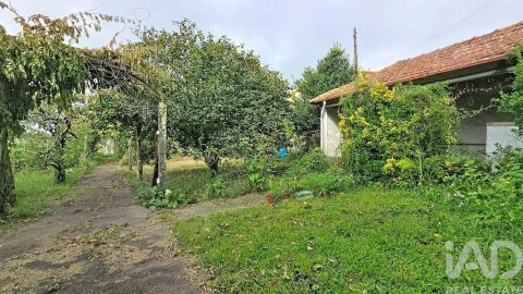 Quinta T5 para Venda em Cortegaça
