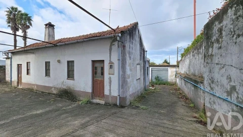Quinta T5 para Venda em Cortegaça