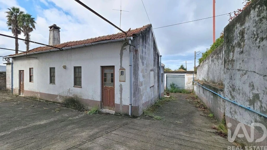 Quinta T5 para Venda em Cortegaça Foto 30