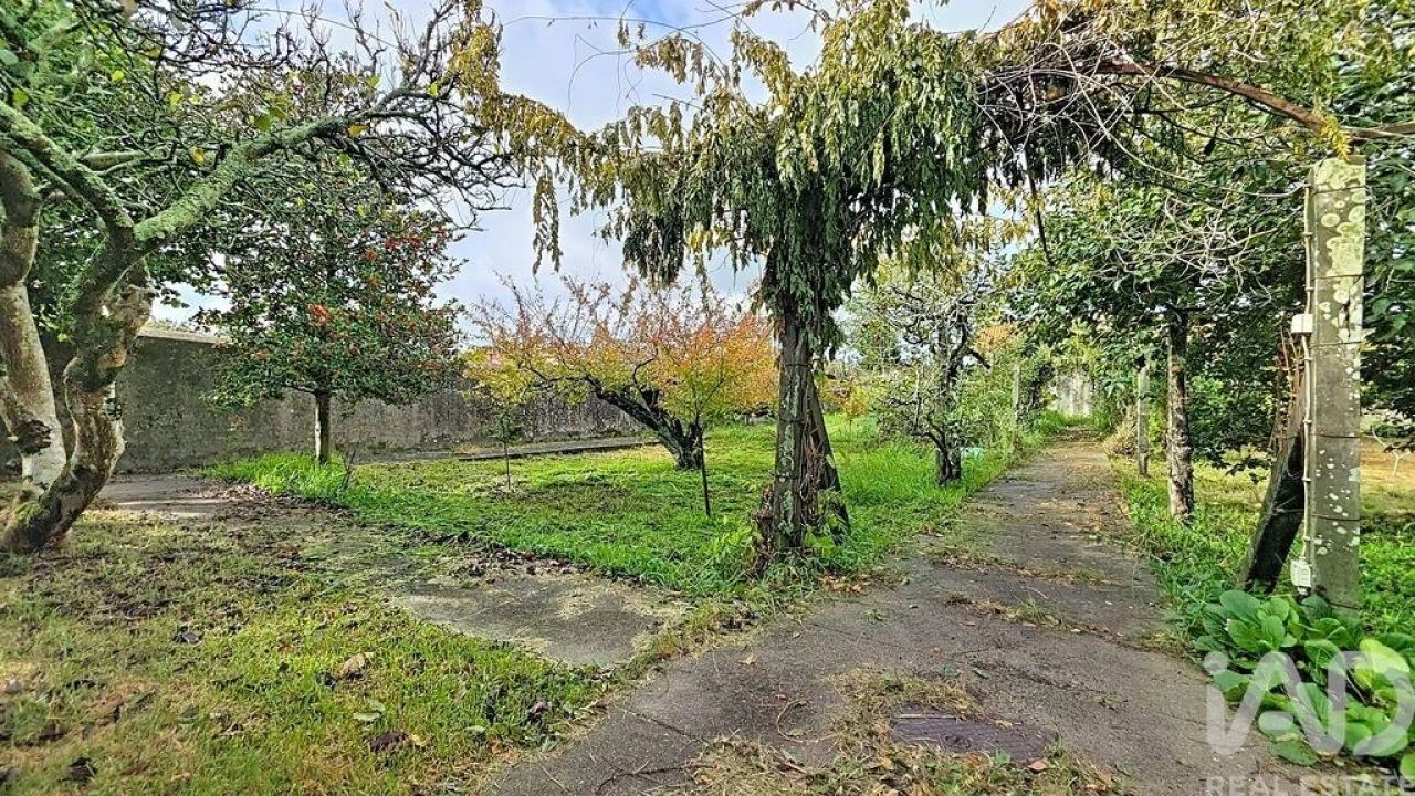 Quinta T5 para Venda em Cortegaça Foto 27