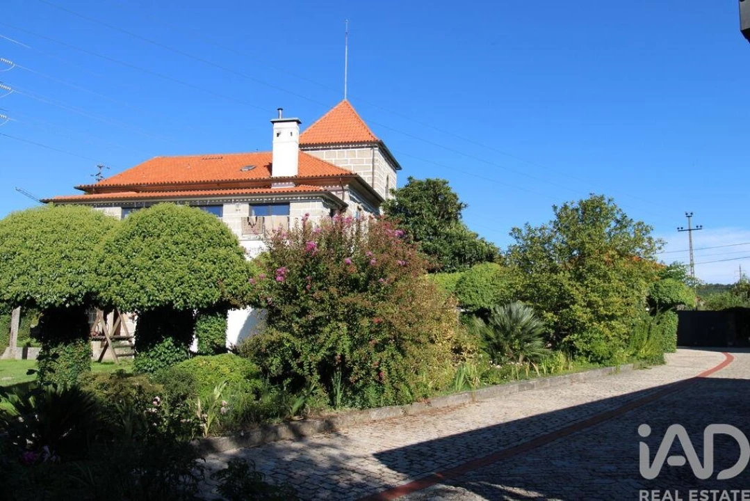 Quinta T10 para Venda em Bodiosa Foto 4