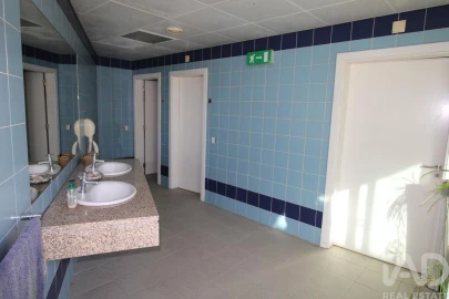 Quinta T10 para Venda em Bodiosa