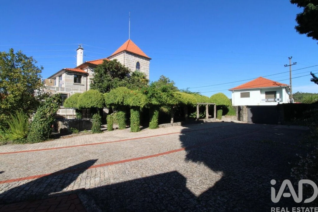 Quinta T10 para Venda em Bodiosa Foto 2