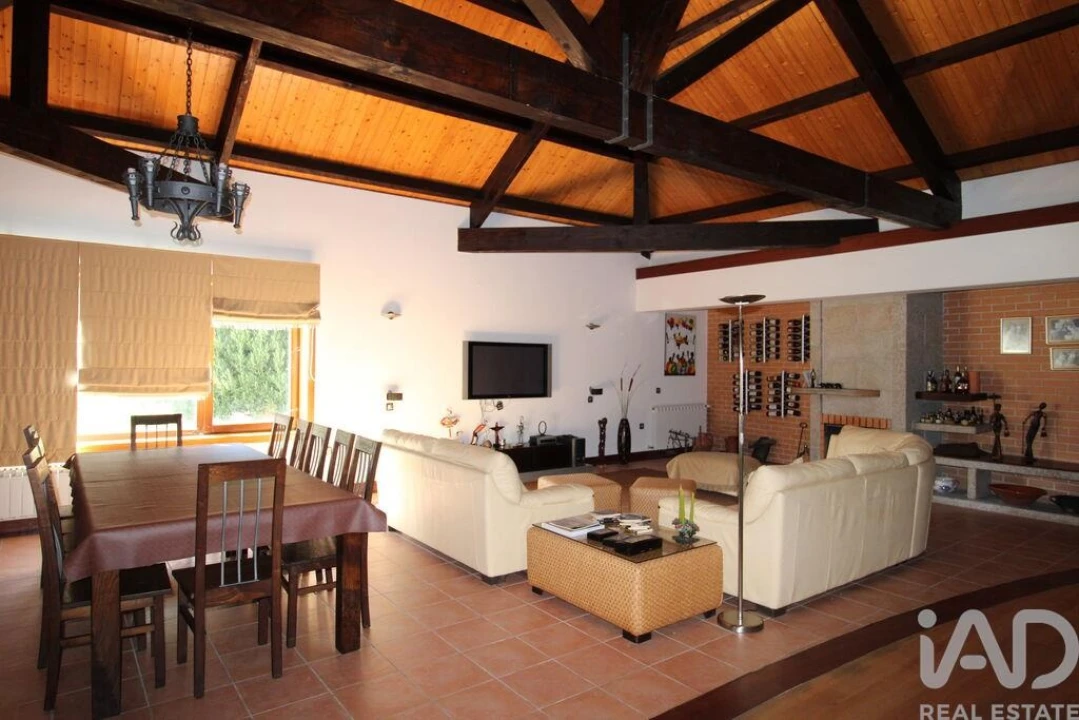 Quinta T10 para Venda em Bodiosa Foto 15
