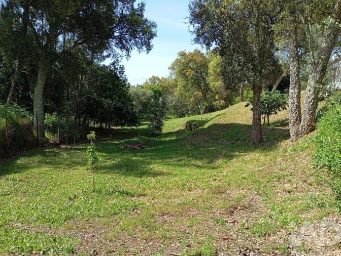 Moradia T7 para Venda em Pedrogão Grande Foto 10