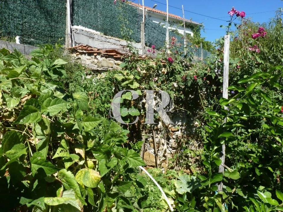 Moradia T3 para Venda em Alvares Foto 57
