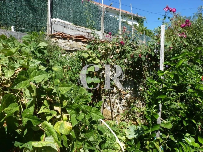 Moradia T3 para Venda em Alvares Foto 57