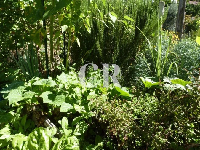 Moradia T3 para Venda em Alvares Foto 56
