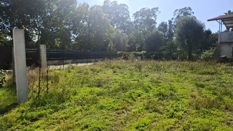 Terreno para Venda em Barreiros