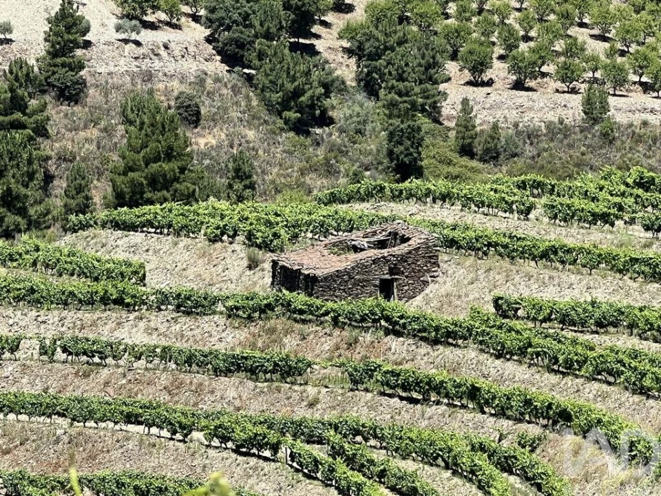 Quinta para Venda em Cedovim Foto 33