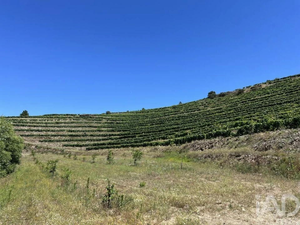 Quinta para Venda em Cedovim Foto 17