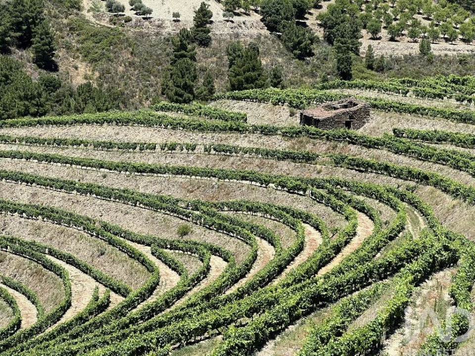 Quinta para Venda em Cedovim Foto 25