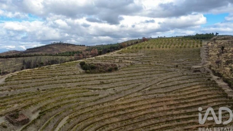 Quinta para Venda em Cedovim