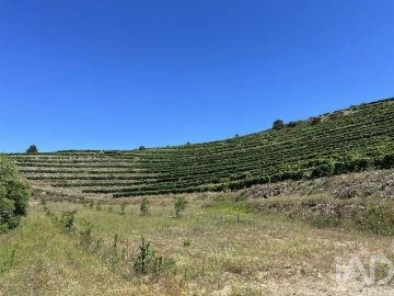 Quinta para Venda em Cedovim