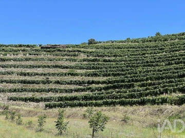 Quinta para Venda em Cedovim