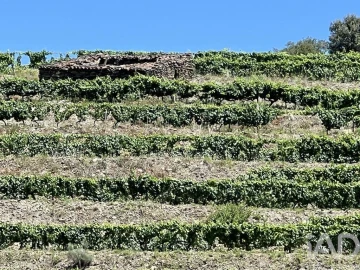Quinta para Venda em Cedovim