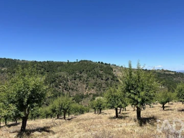 Quinta para Venda em Cedovim