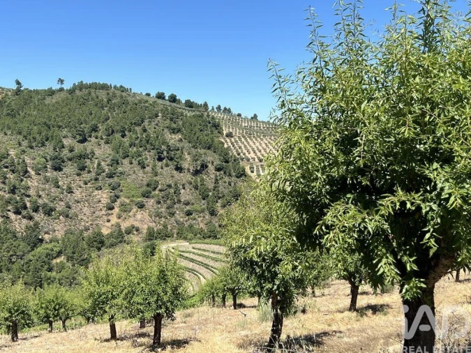Quinta para Venda em Cedovim Foto 27