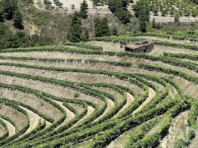 Quinta para Venda em Cedovim Foto 21