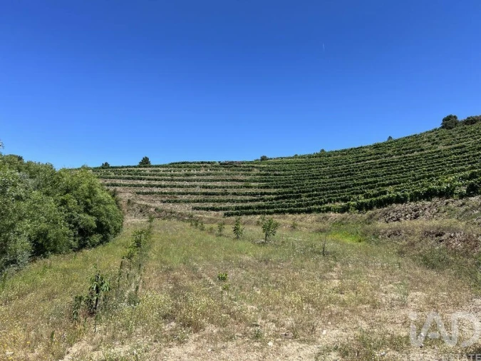 Quinta para Venda em Cedovim Foto 15