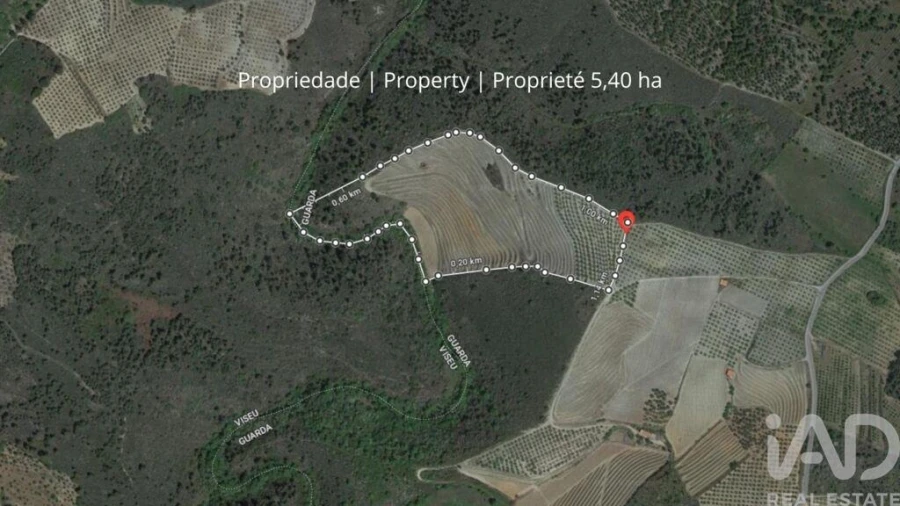Quinta para Venda em Cedovim Foto 34