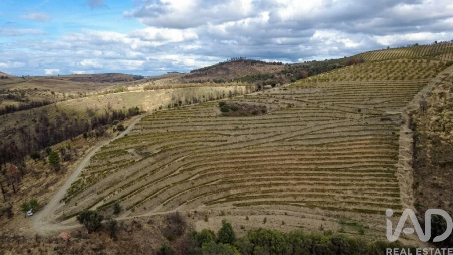 Quinta para Venda em Cedovim Foto 6