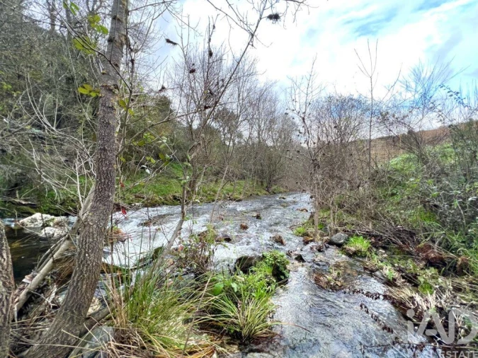 Quinta para Venda em Cedovim Foto 8