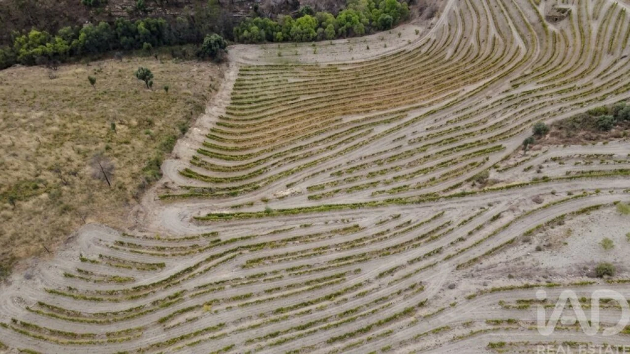 Quinta para Venda em Cedovim Foto 3