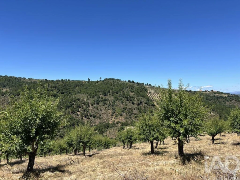 Quinta para Venda em Cedovim Foto 31