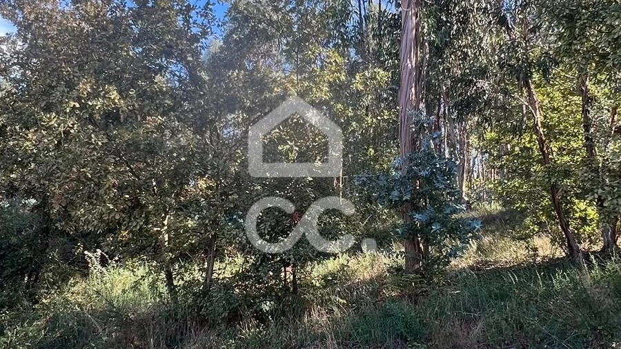Terreno para Venda em Airães