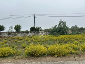 Terreno para Venda em Mangualde, Mesquitela e Cunha Alta