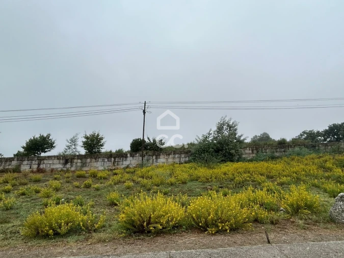 Terreno para Venda em Mangualde, Mesquitela e Cunha Alta Foto 3